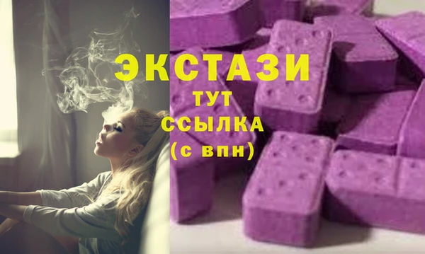 первитин Богданович