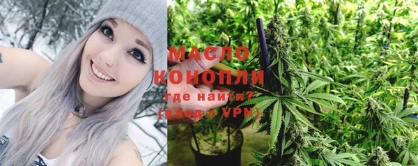 первитин Богданович