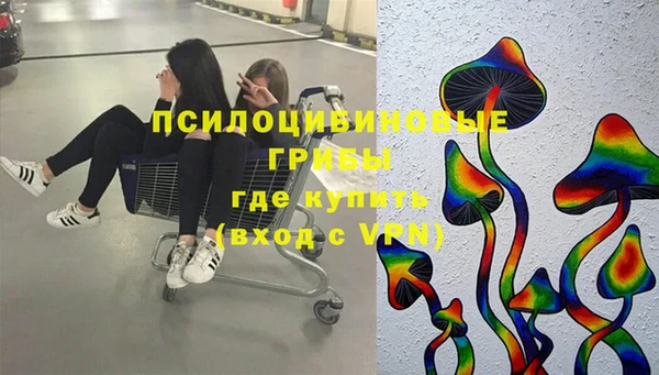 трава Богородицк