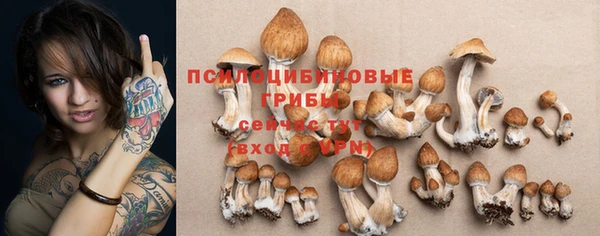 трава Богородицк